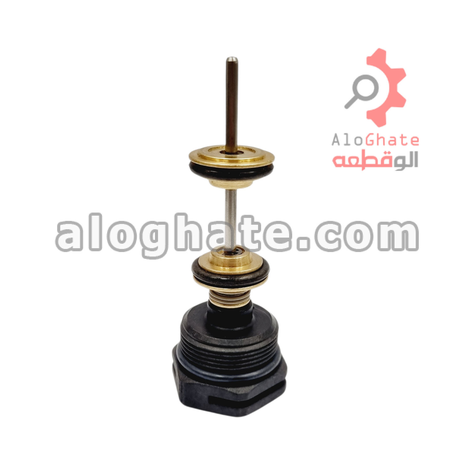 کیت تعمیر بیتا بوتان