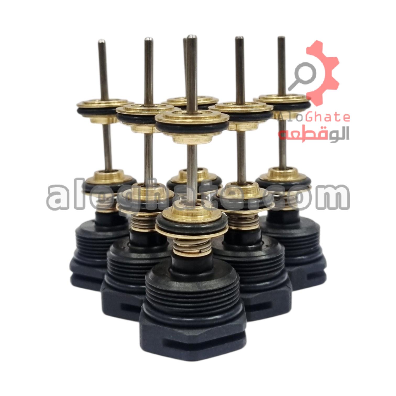 کیت تعمیر بیتا بوتان (پک 6 عددی)